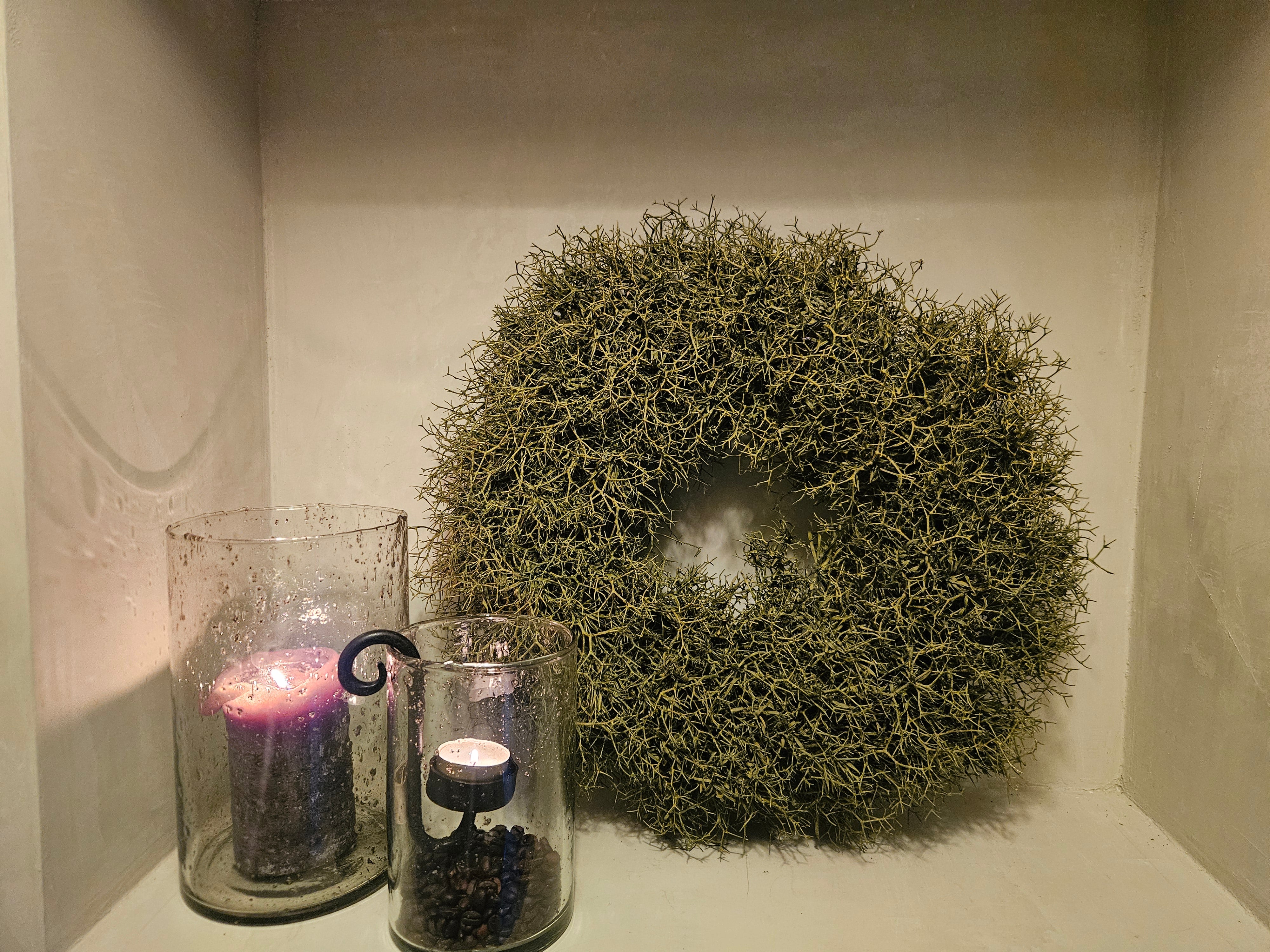 Krans Iron Bush