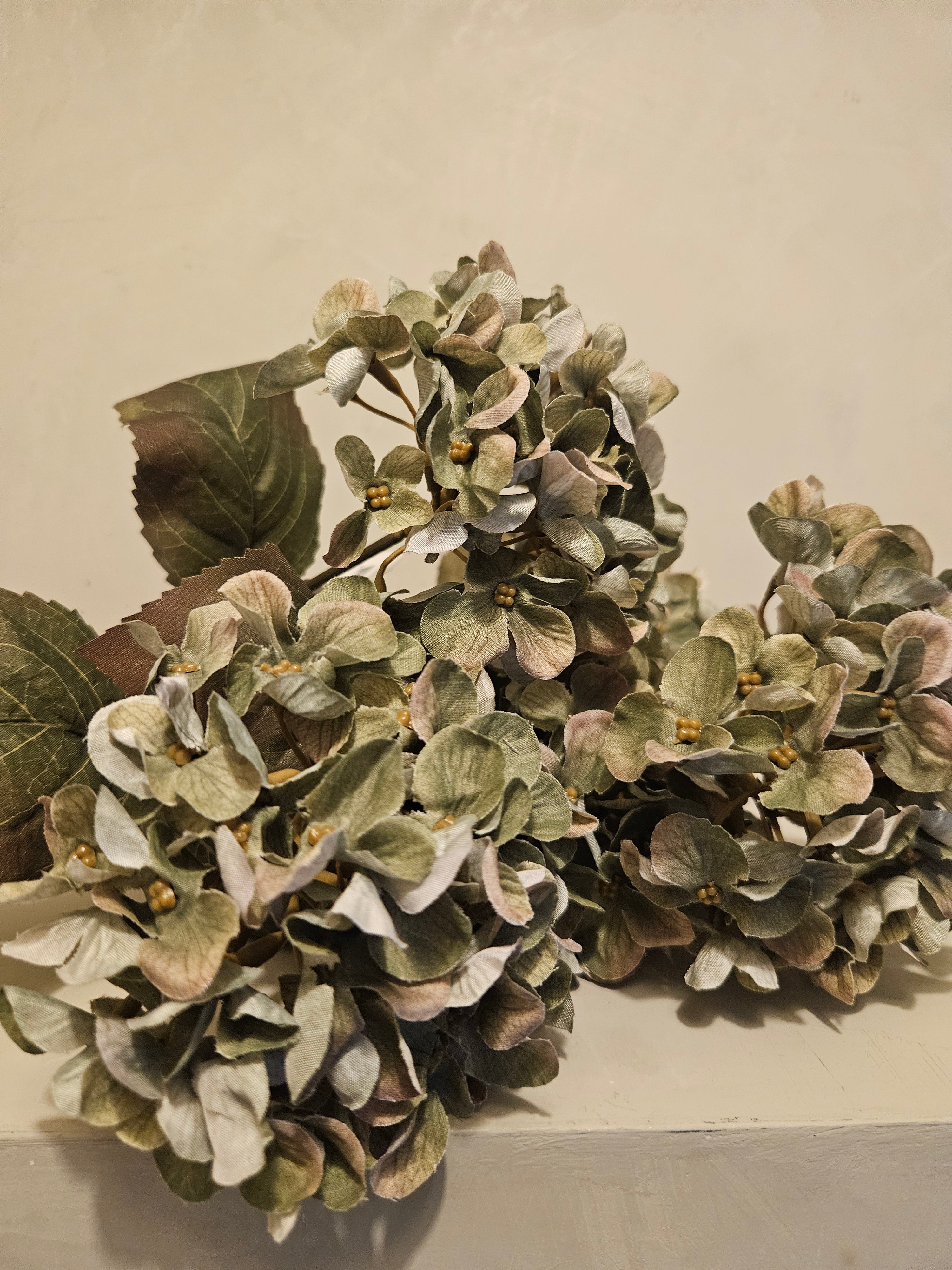 Landelijk hortensia bosje