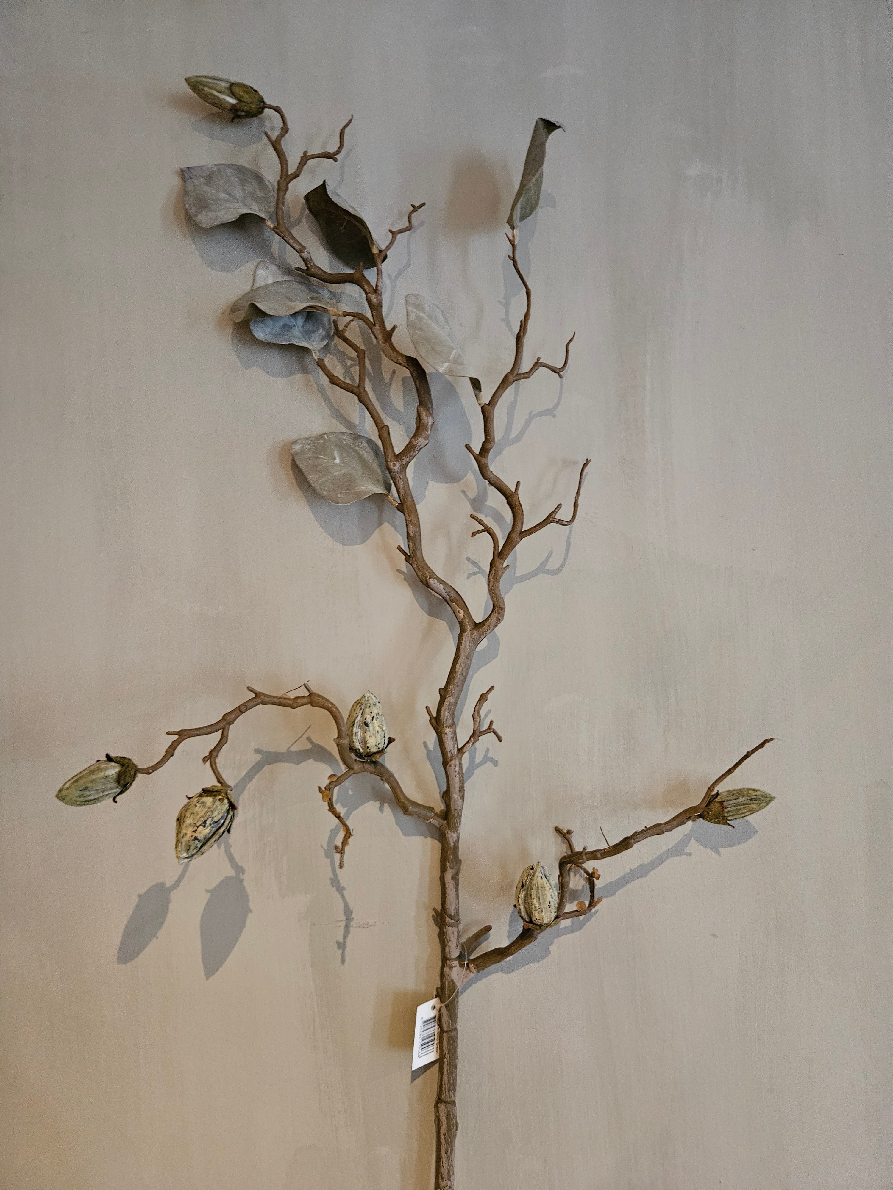 Magnoliatak landelijk interieur