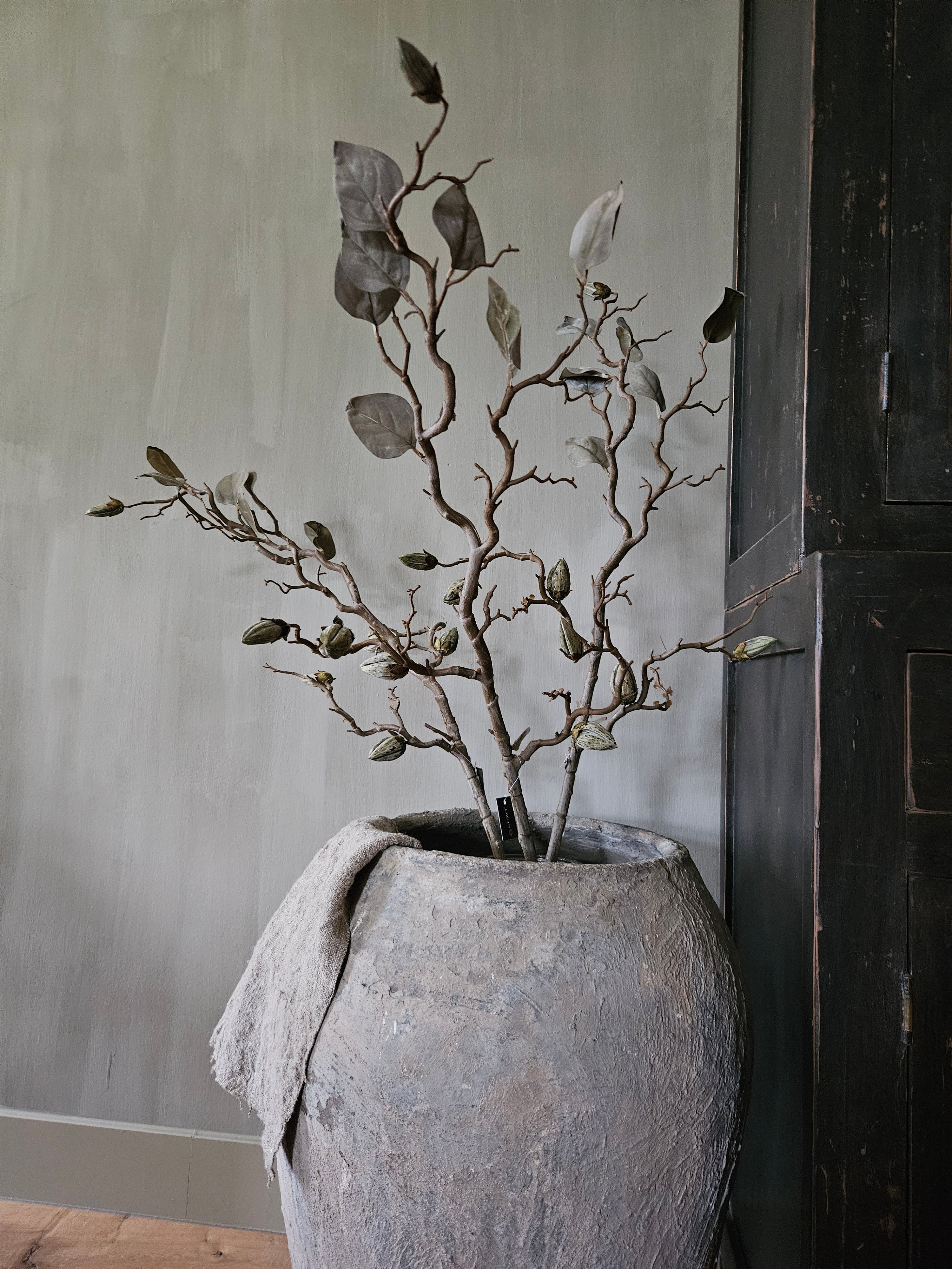Magnolia tak in knop
