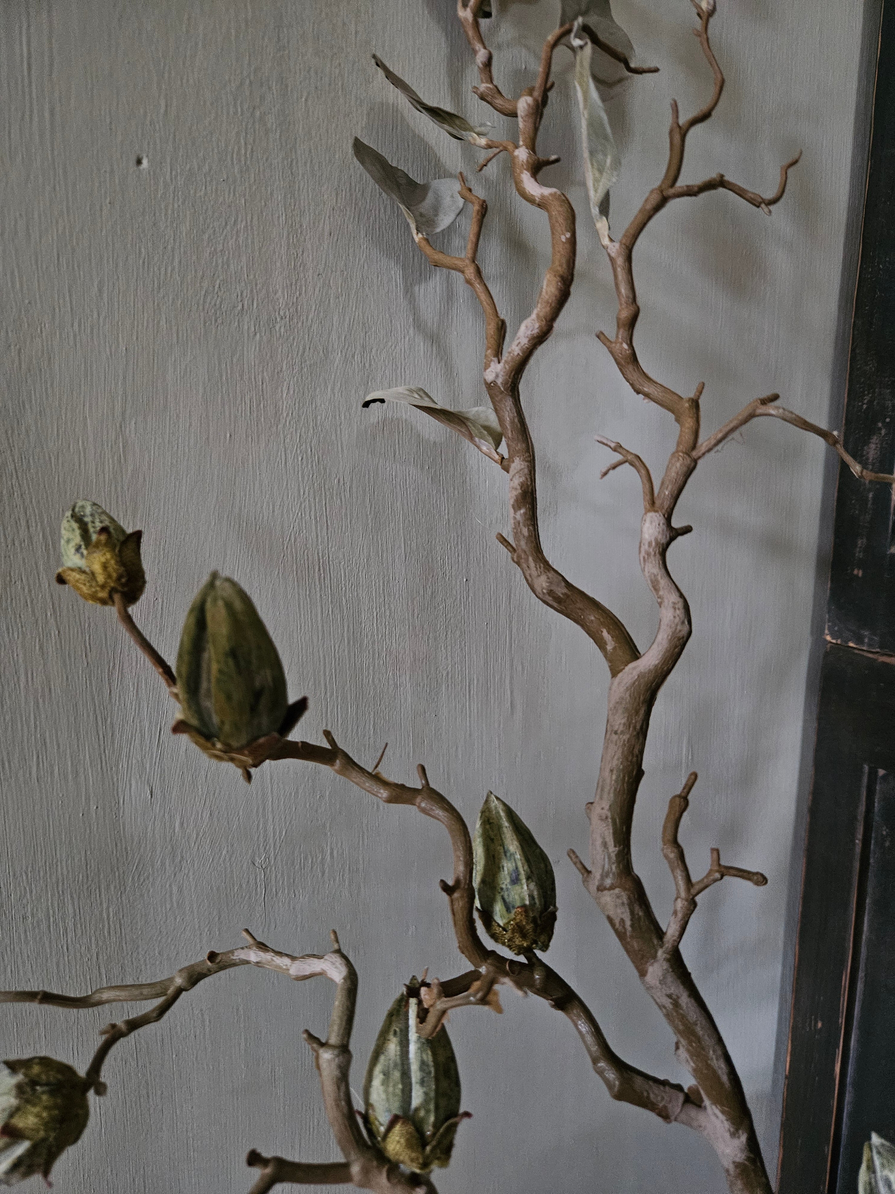 decoratieve Magnolia tak