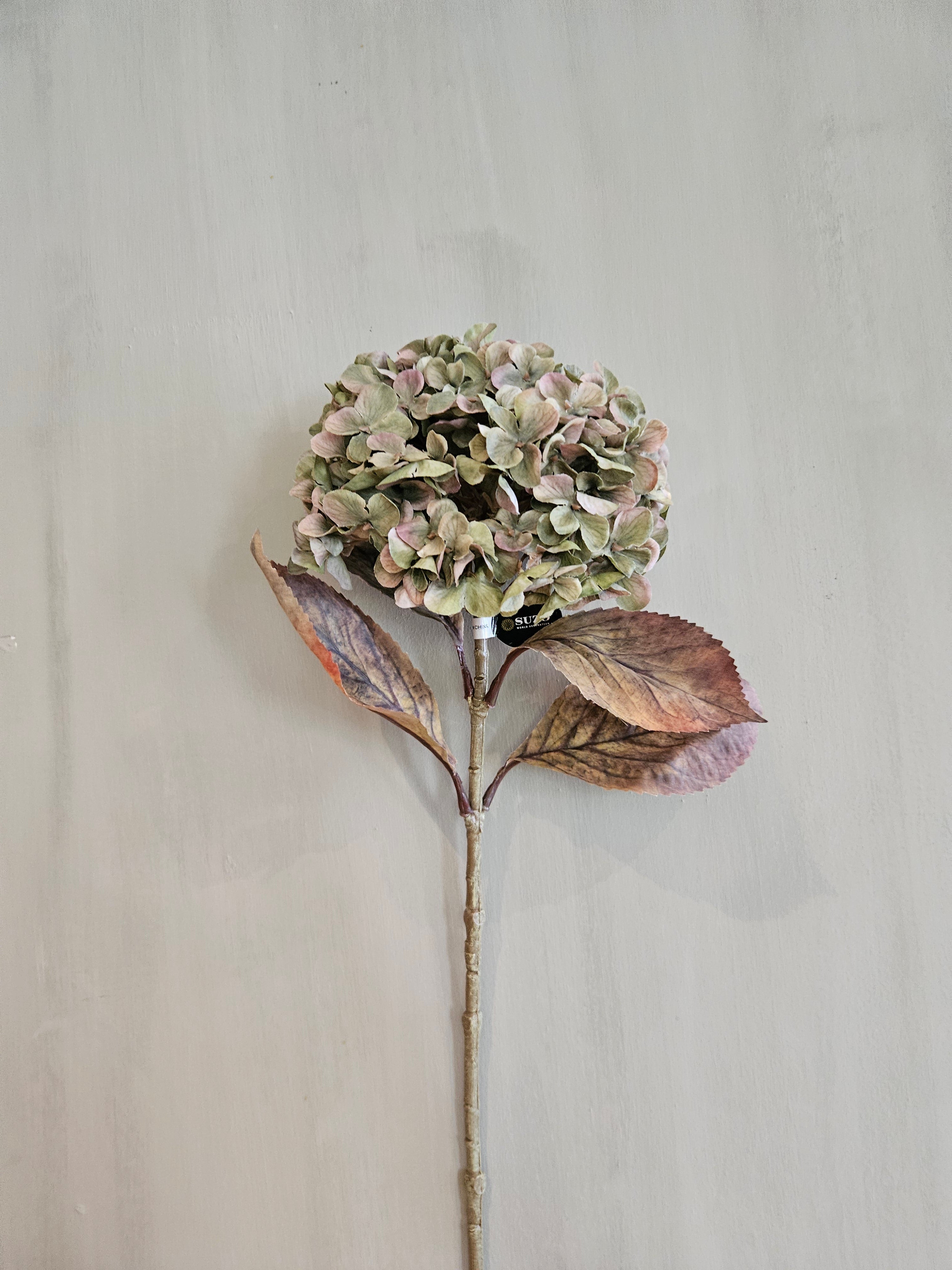 Hortensia zijdetak groen