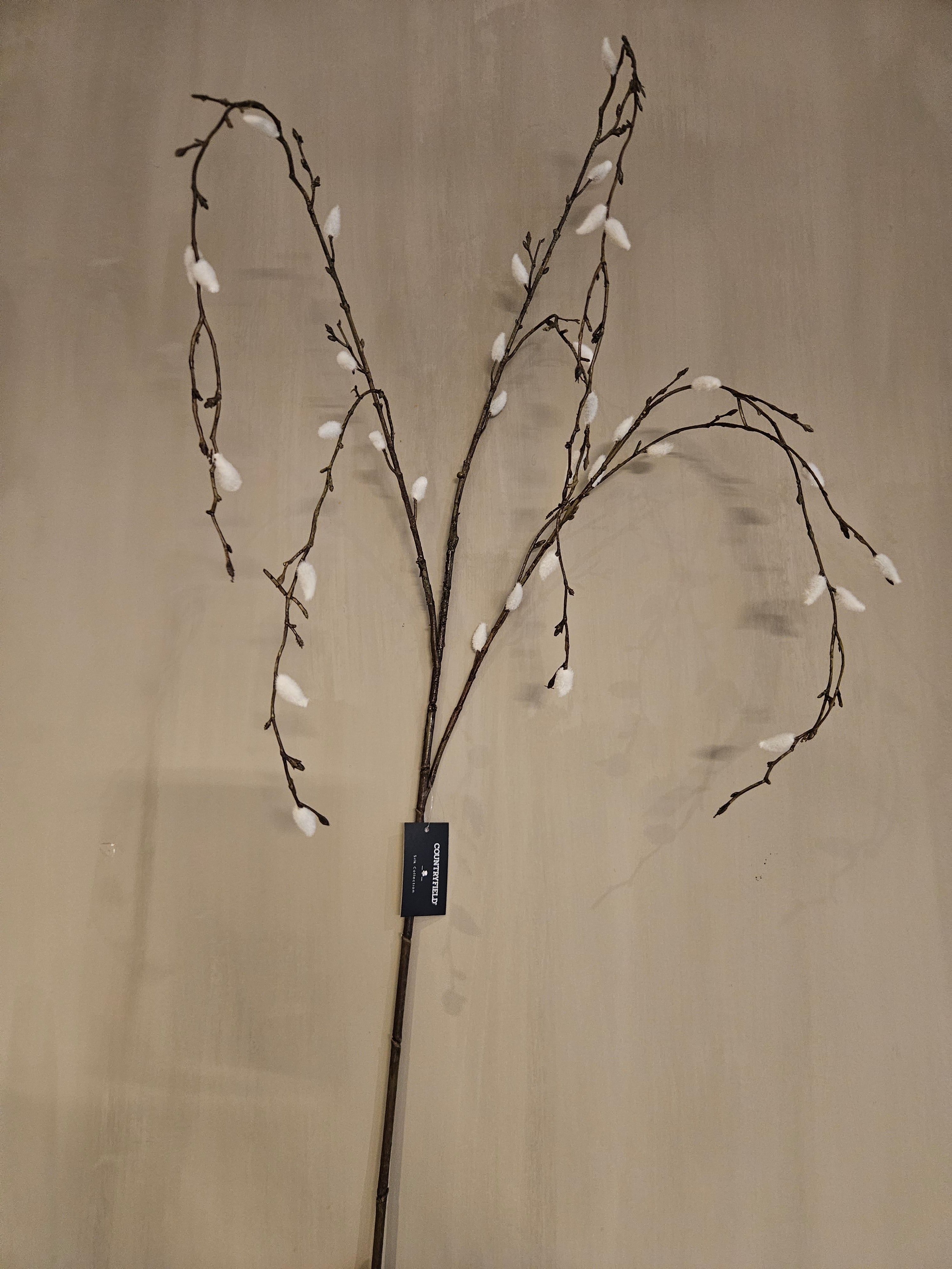 kunsttak Salix