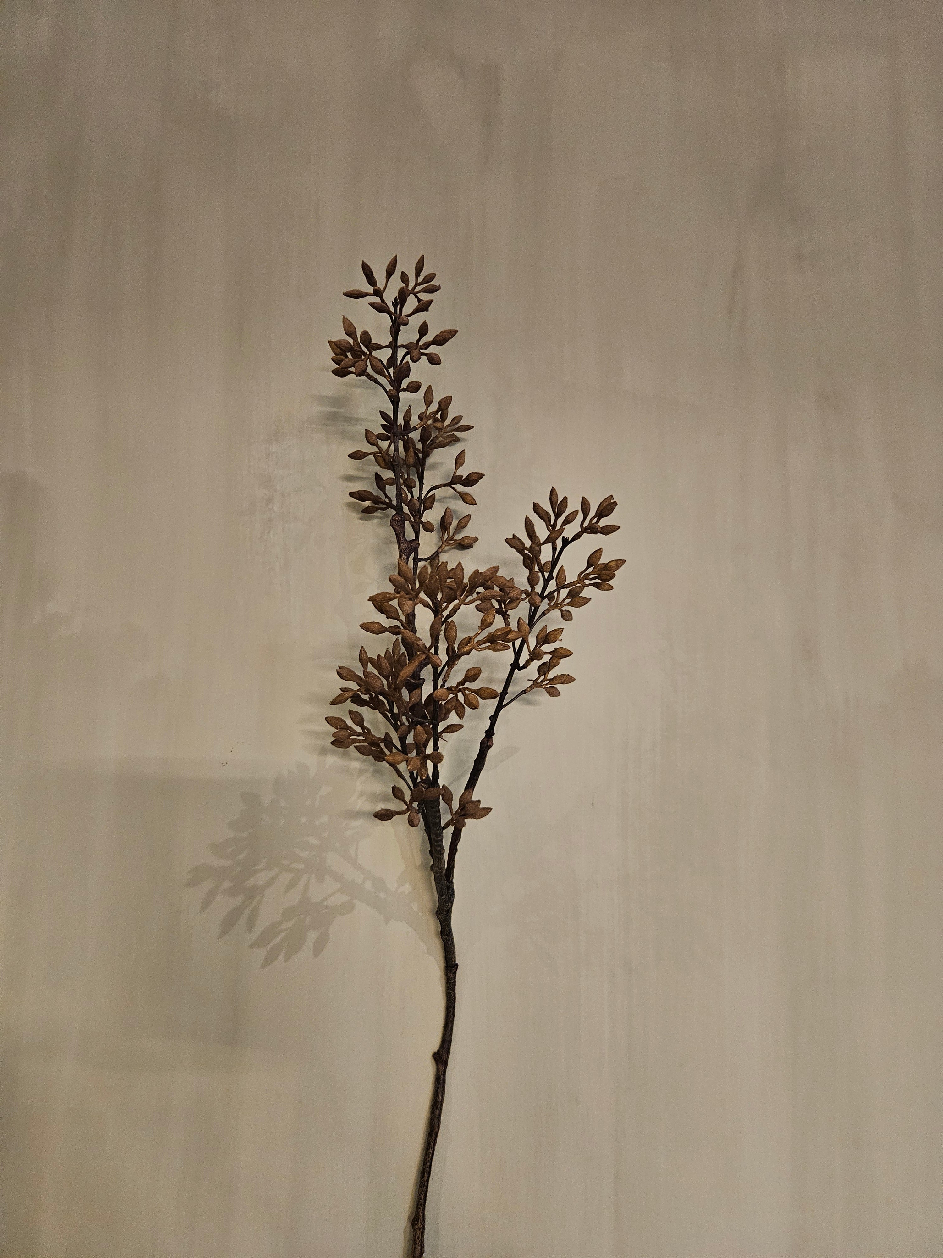 Bruine eucalyptus kunsttak