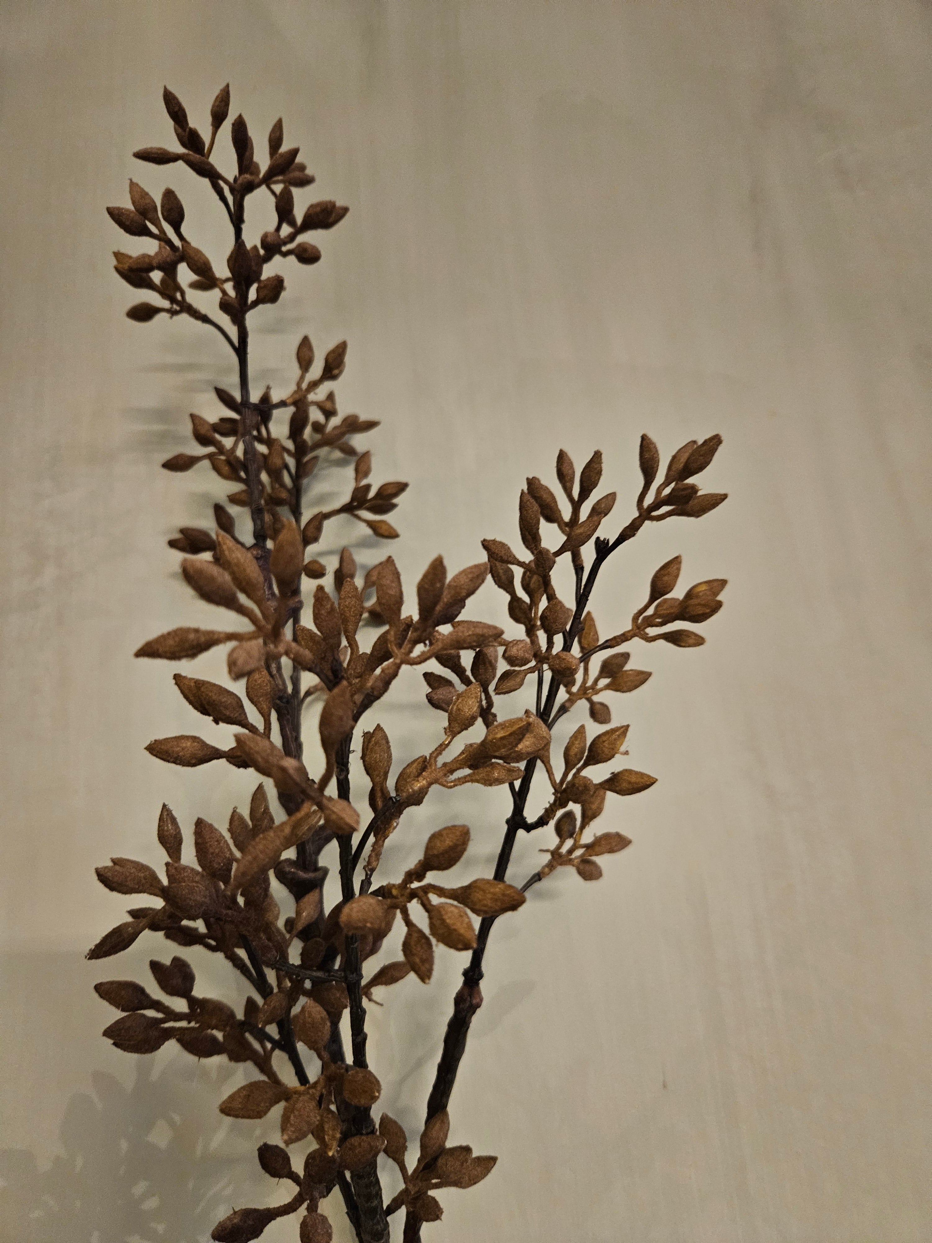 kunsttak eucalyptus