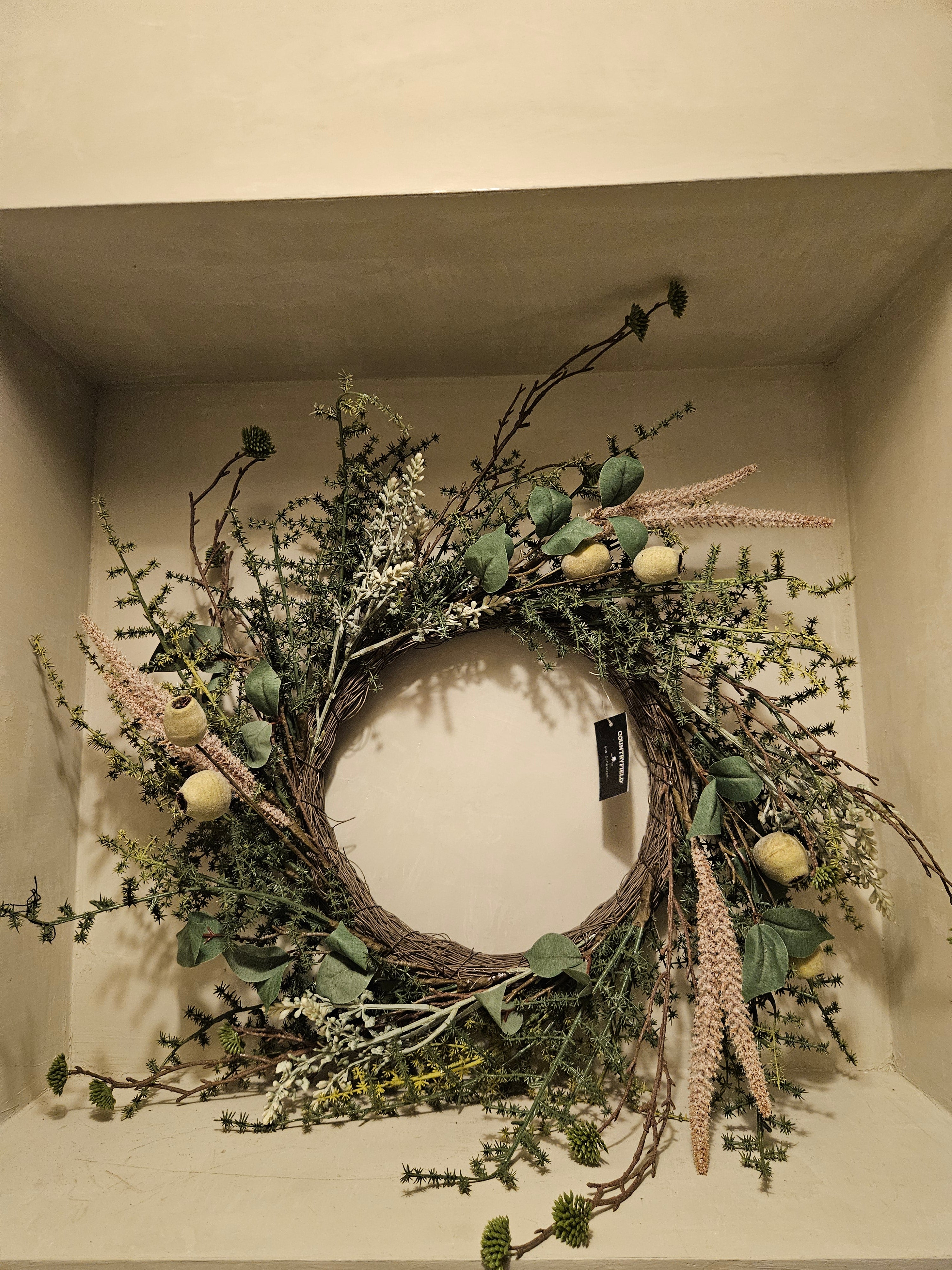 Asparagus kunst groen