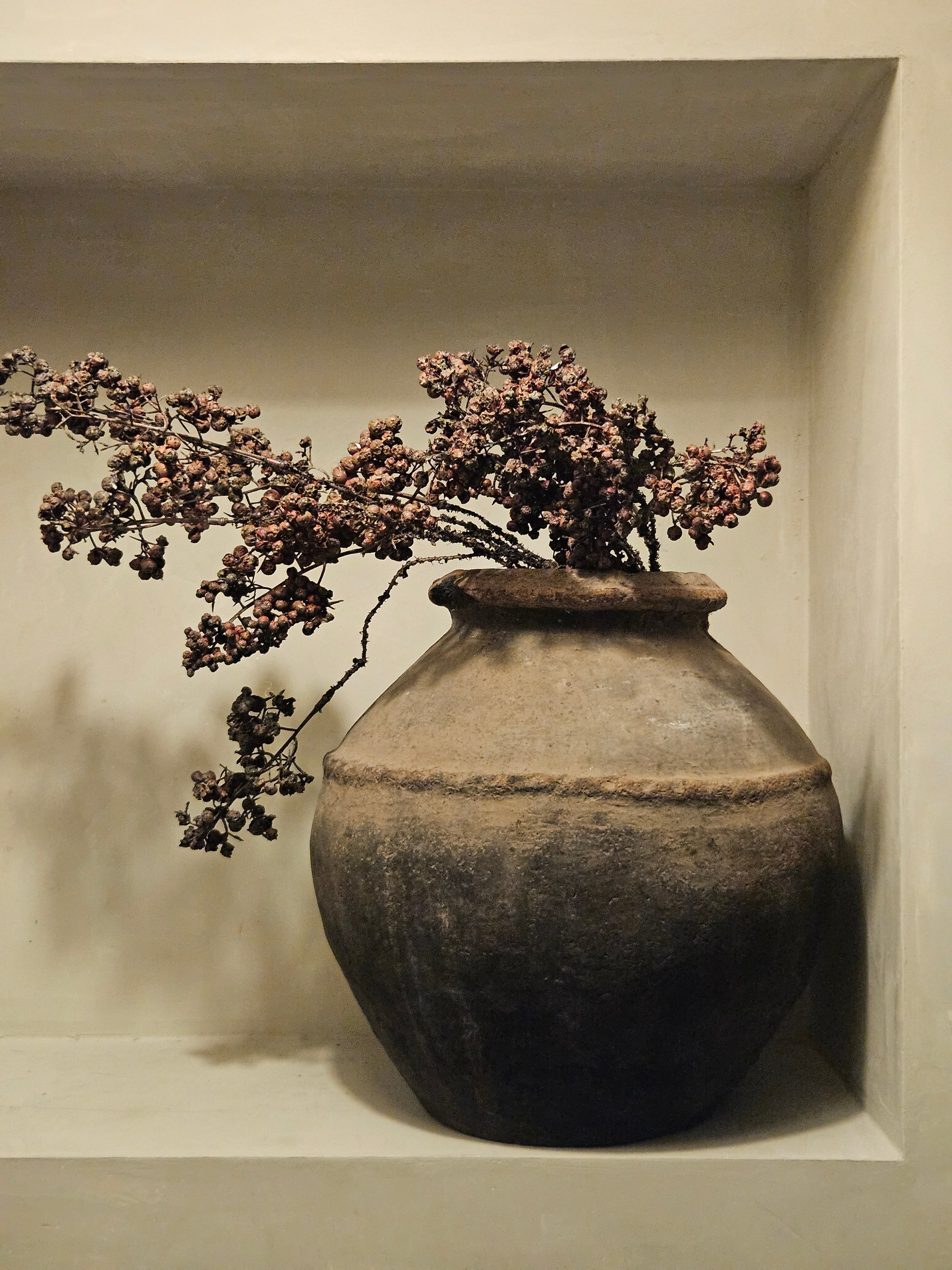 Ligustrum tak