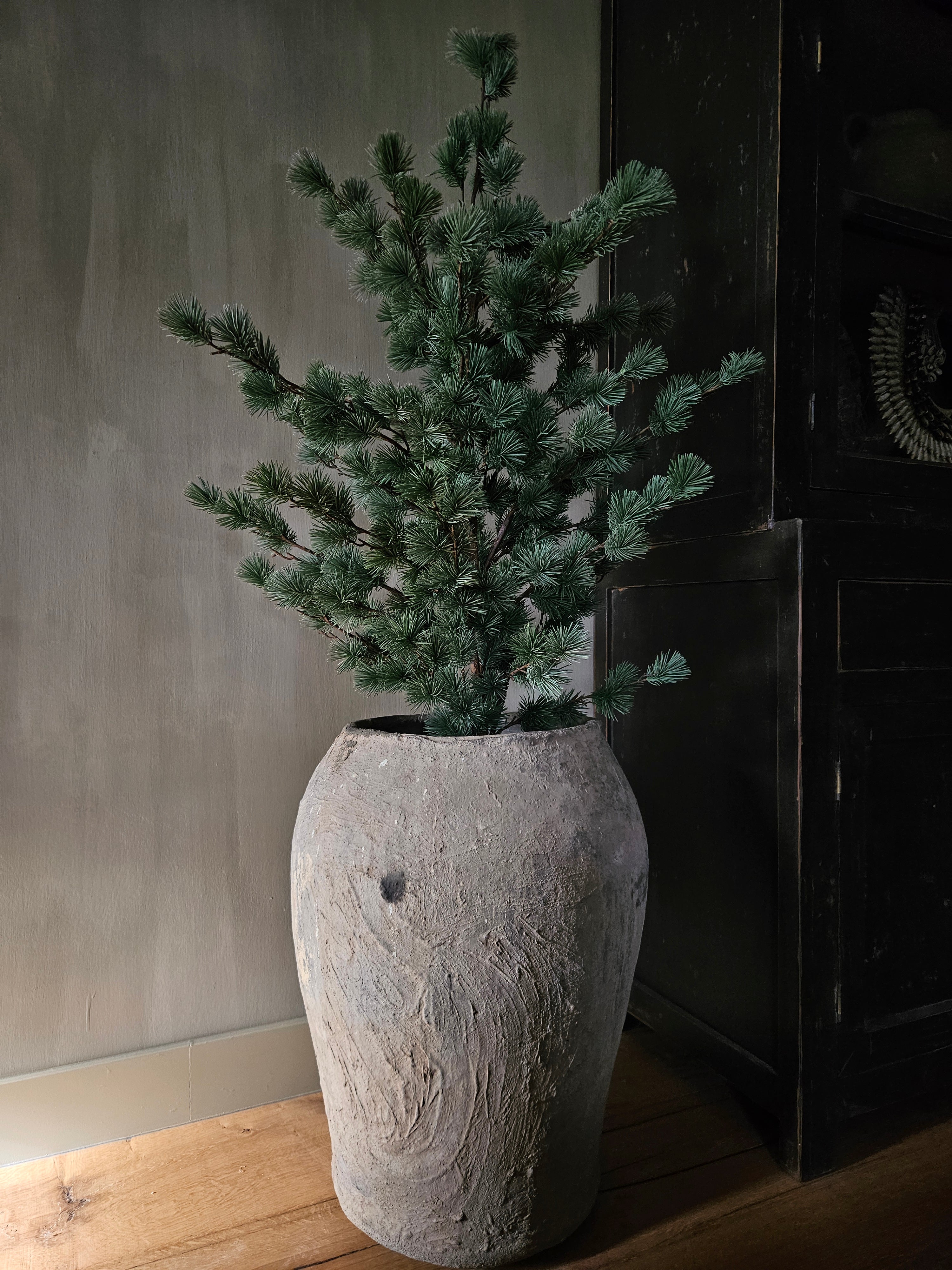 larixboom 120 cm