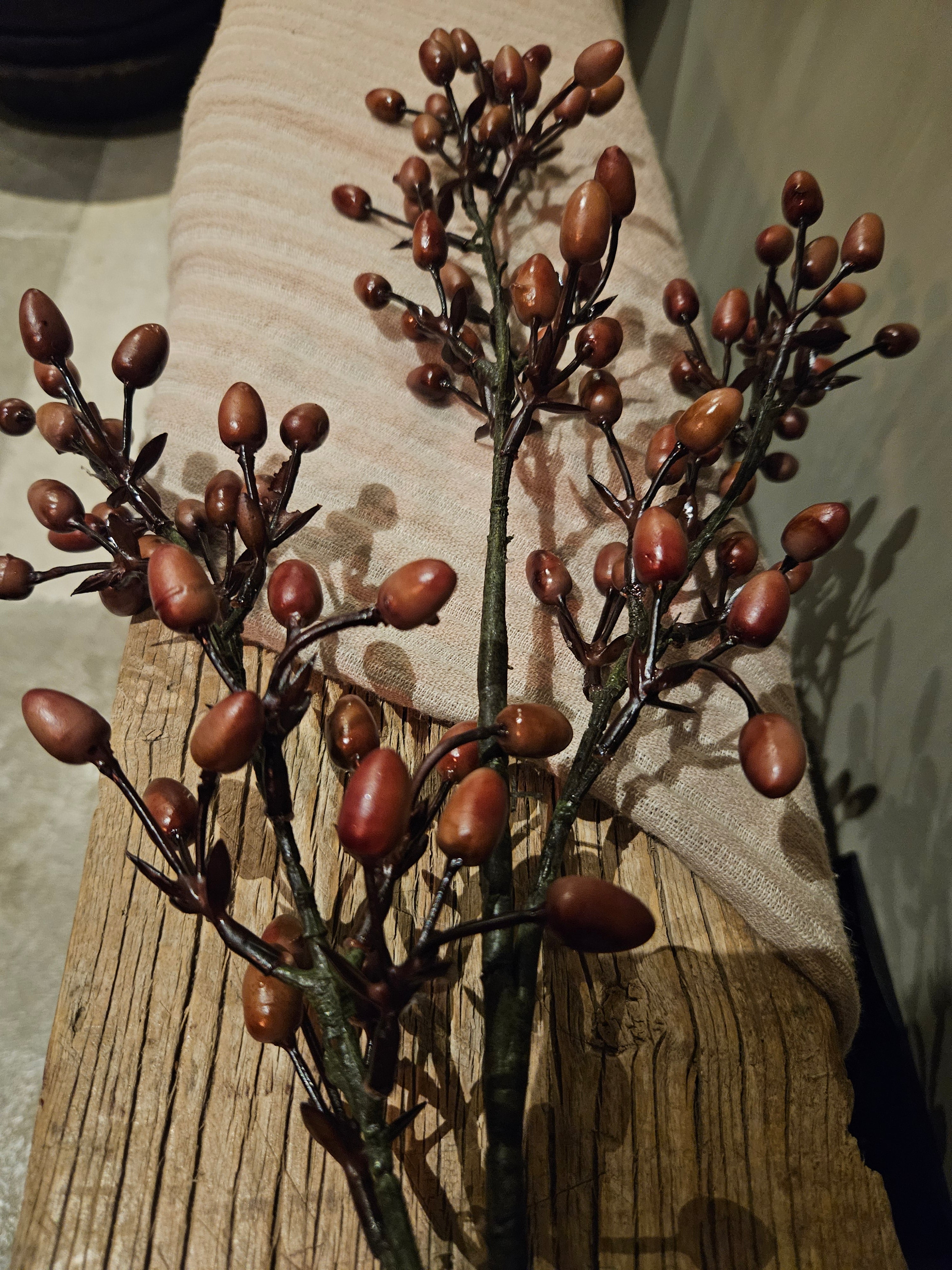 Berberis zijdetak
