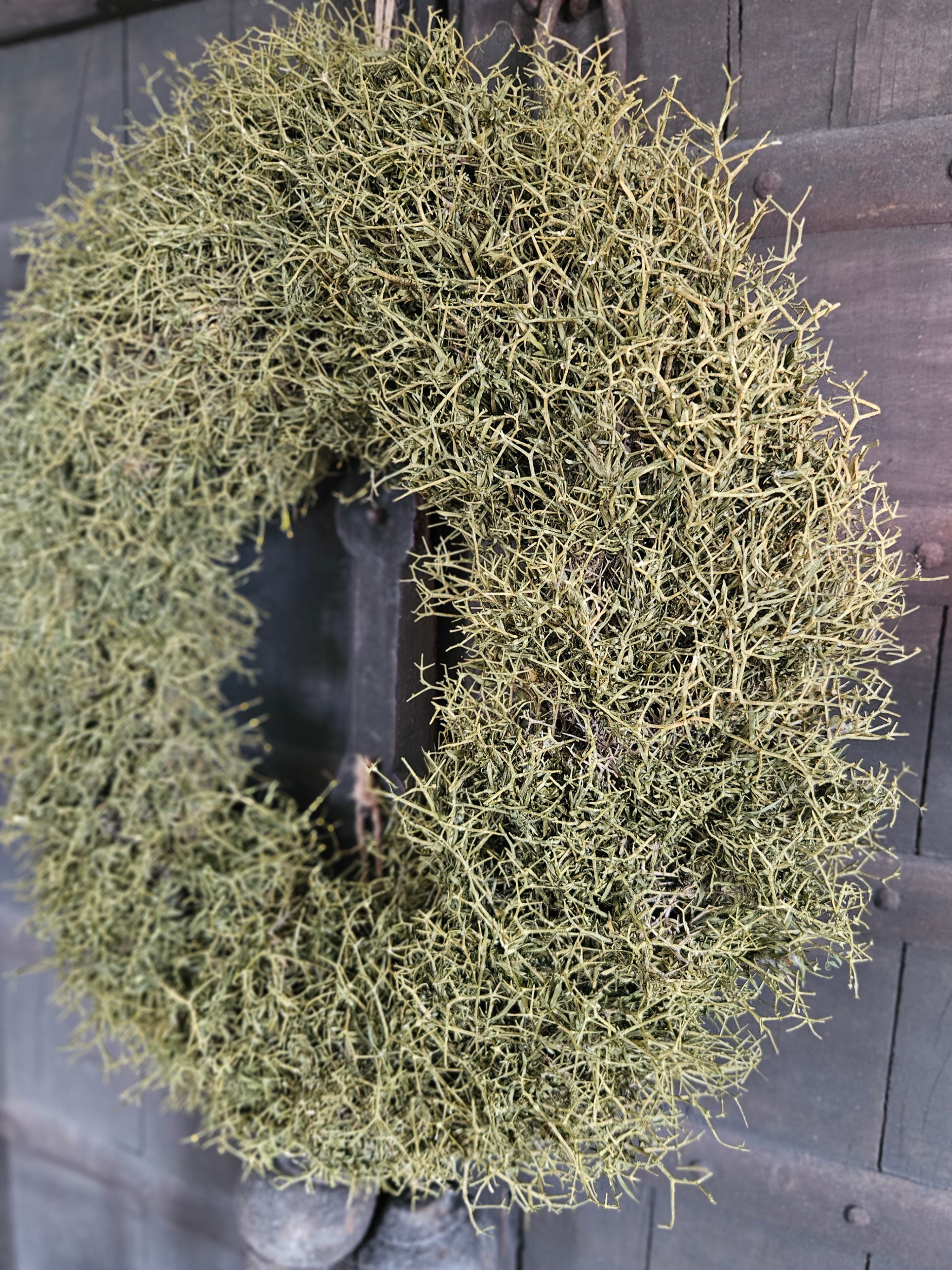 Krans Iron Bush