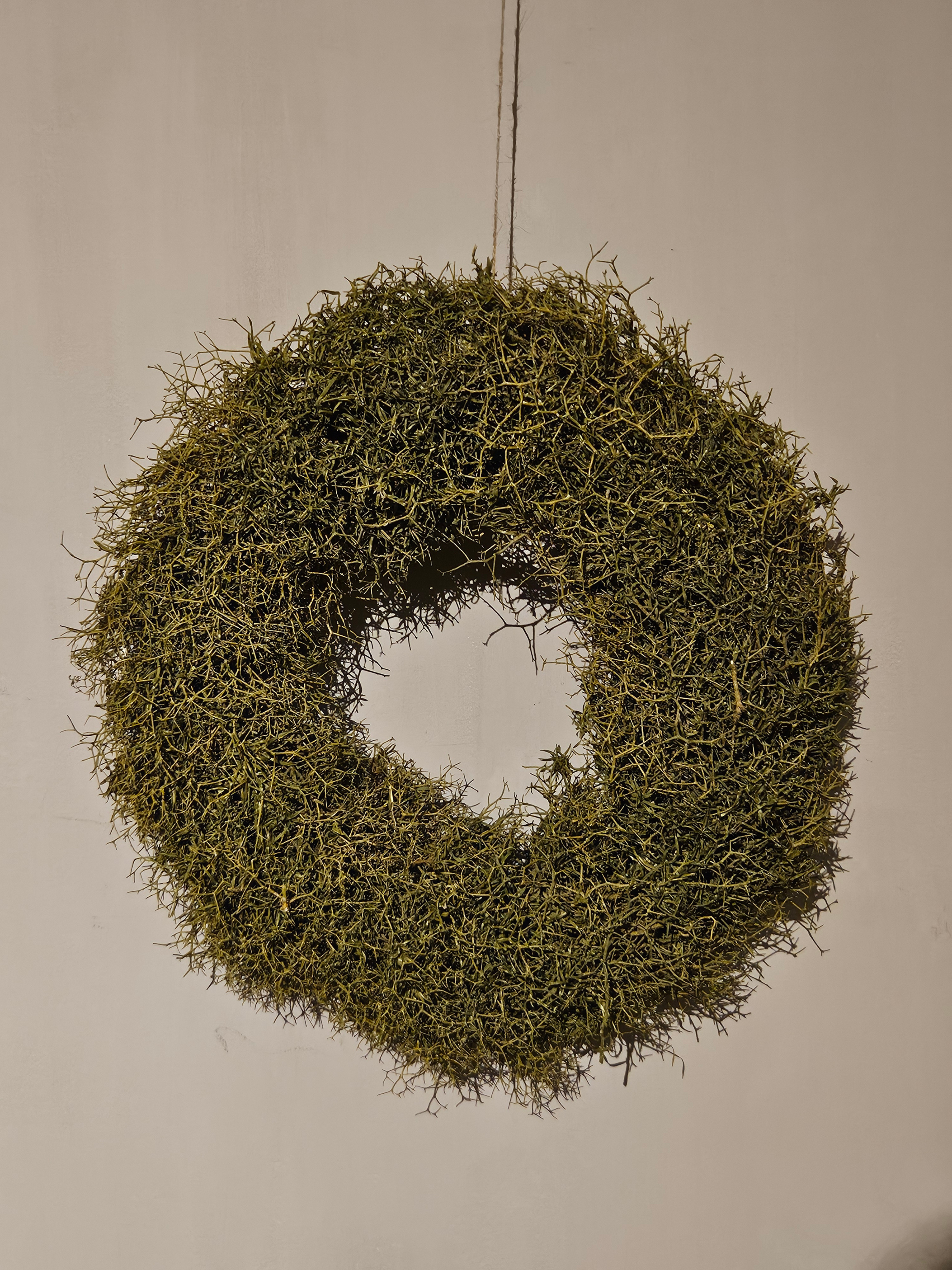 Krans Iron Bush