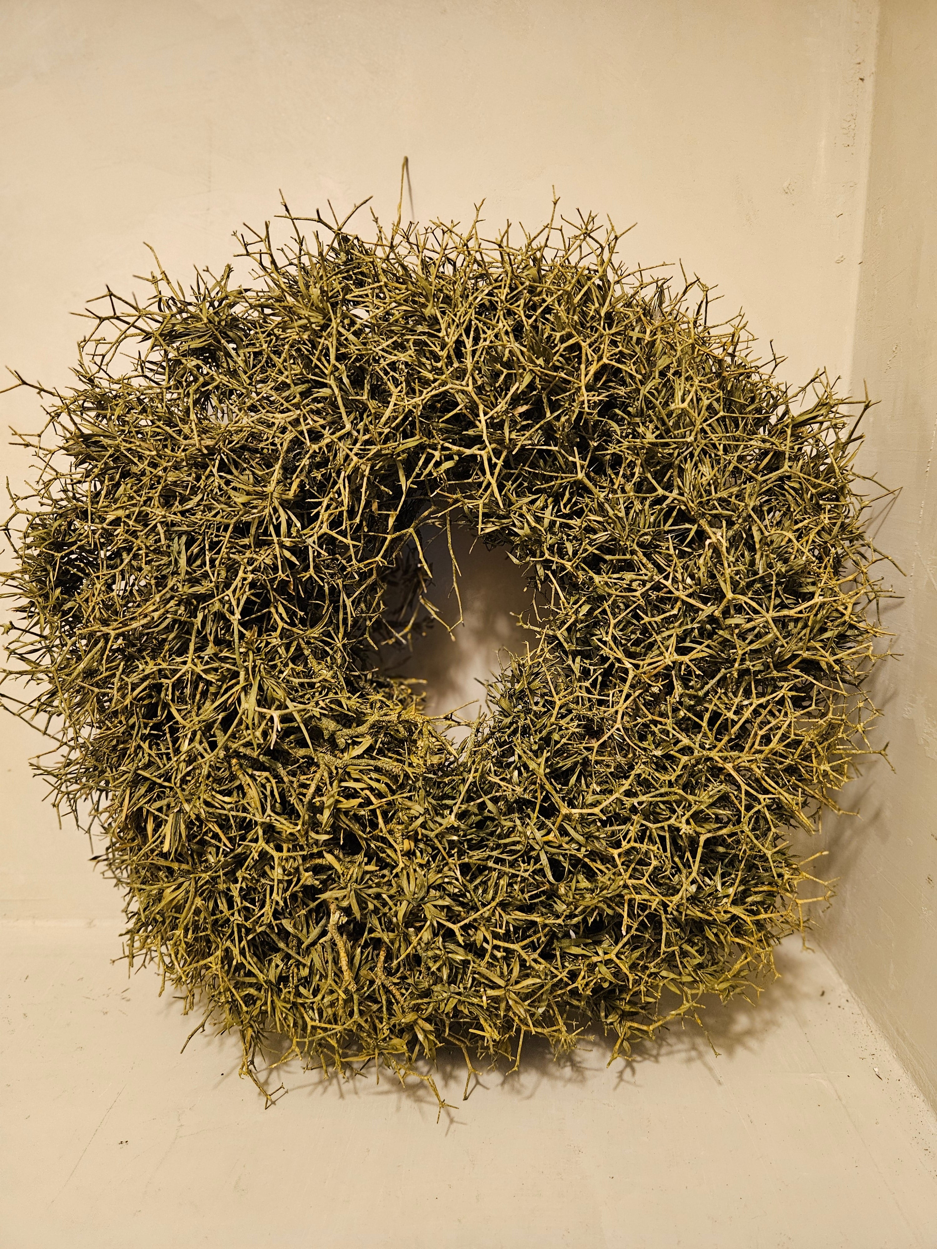 Krans Iron Bush S