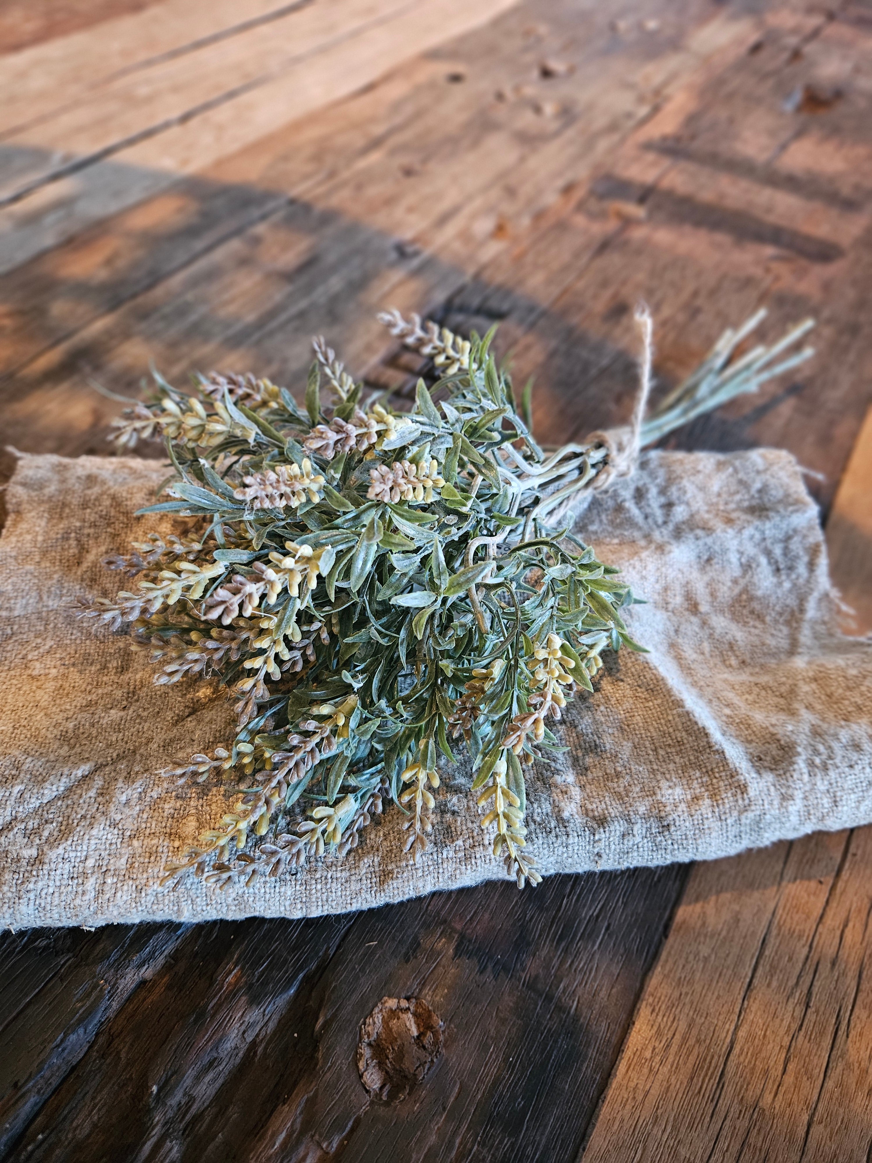 Bosje Lavendel